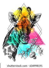 Beautiful hand drawn illustration portrait of giraffe. Sketch style. Watercolor background.