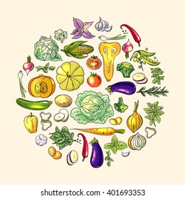 Beautiful hand drawn illustration vegetables. Food top view 