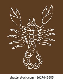 Beautiful hand drawn linear illustration with white scorpion silhouette on the brown background