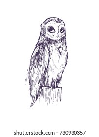 Beautiful hand drawn owl. Magic creature. It can be used for printing on t-shirts, postcards, or used as ideas for tattoos.