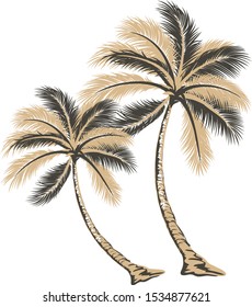 Beautiful hand drawn palm tree