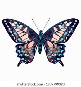 Hermosa ilustración vectorial de mariposa azul dibujada a mano aislada en blanco increíble para impresiones de camisetas