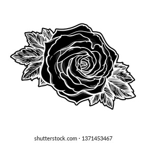 Beautiful hand drawn rose flower. Isolated vintage style, tattoo design vector illustration.