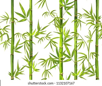 Beautiful hand drawn seamless bamboo pattern. Perfect for wallpapers, web page backgrounds, surface textures, textile. Vector vintage traditional fashion illustration ornament on white background. 