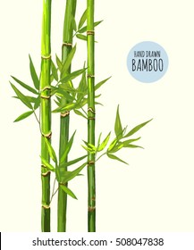 Beautiful hand drawn seamless  illustration background with bamboo.  Perfect for wallpapers, web page backgrounds, surface textures, textile. Isolated on white background