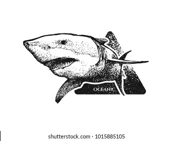 Beautiful hand drawn shark with open mouth. Monochrome illustration. Retro style. It can be used for printing on t-shirts, posters, or used as ideas for tattoos.