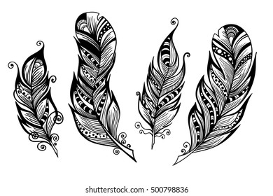 Beautiful hand drawn sketch of feathers for your design. Vector illustration