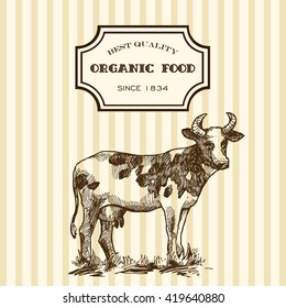Beautiful hand drawn sketch illustration milk product for your design. Organic milk.