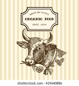 Beautiful hand drawn sketch illustration milk product for your design. Organic milk.