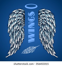 Beautiful hand drawn sketch of wings for your design