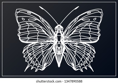 Beautiful hand drawn sketching butterflies pattern vector illustration. Figure in the style of boho. Isolated image.