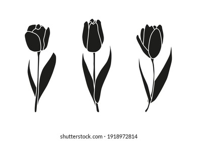 Beautiful hand drawn spring tulip flowers isolated on white background. Seasonal floral illustration. Black monochrome silhouettes.