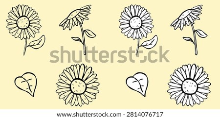 Beautiful hand drawn sunflower outline set with black and white line art elements. Simple botanical sketching of blooming flowers, flower heads, and green leaves isolated on a plain backdrop. Ideal for minimalist designs, coloring pages, tattoos, and rustic layouts.