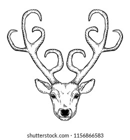 Beautiful hand drawn tribal style deer head. Magic vintage vector illustration in black over white. Spiritual art, yoga, boho style, nature and wilderness. T-shirts and tattoo design.