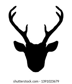 Beautiful hand drawn tribal style deer head silhouette. Magic vintage vector illustration in black and white. Spiritual art, yoga, boho style, nature and wilderness.