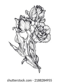 Beautiful hand drawn vector composition with black and white tulip flowers.