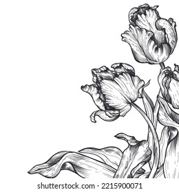 Beautiful hand drawn vector corner composition with black and white tulip flowers.