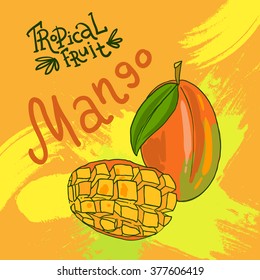 Beautiful hand drawn vector fruit  for your design