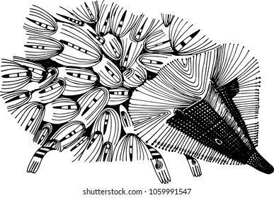 Beautiful hand drawn vector hedgehog illustration, isolated 