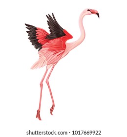 Beautiful hand drawn  vector illustration with flamingo. Isolated on white background. Colorful vector illustration without transparent and gradients.