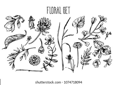 Beautiful hand drawn vector illustration floral pattern. Boho style flowers for your design. 