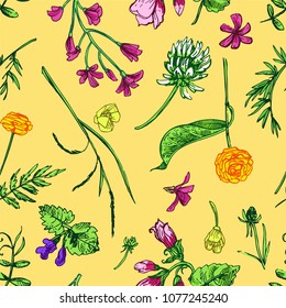 Beautiful hand drawn vector illustration floral pattern. Boho style flowers for your design. 