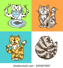 Beautiful hand drawn vector illustration cute cats. Doodle style.