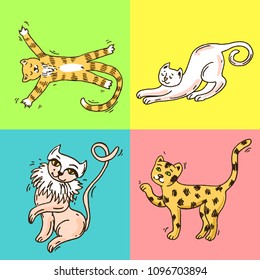Beautiful hand drawn vector illustration cute cats. Doodle style.