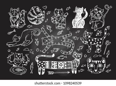 Beautiful hand drawn vector illustration cute cats. Doodle style.