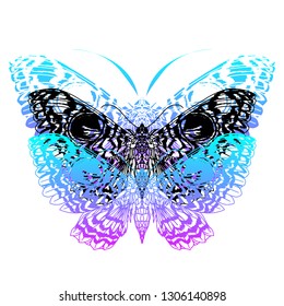Beautiful hand drawn vector illustration sketching of butterflies. Boho style drawing. Use for postcards, print for t-shirts, posters, wedding invitation, tissue, linens - Vector