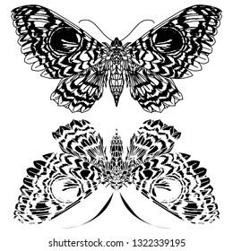 Beautiful hand drawn vector illustration sketching of butterflies. Boho style drawing. Print for your design. Concept for print, birthday background, sticker for your gadget. Use for postcards.