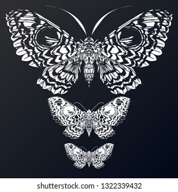 Beautiful hand drawn vector illustration sketching of butterflies. Boho style drawing. Use for postcards, print for t-shirts, posters, wedding invitation, tissue, linens. Print for your design.