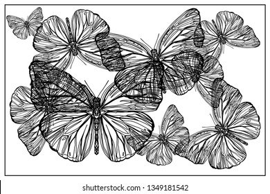 Beautiful hand drawn vector illustration sketching of butterflies. Boho style drawing. Use for postcards, print for t-shirts, posters, wedding invitation, tissue, linens - Vector