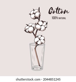 Beautiful hand drawn vector illustration of cotton branch in a glass vase.