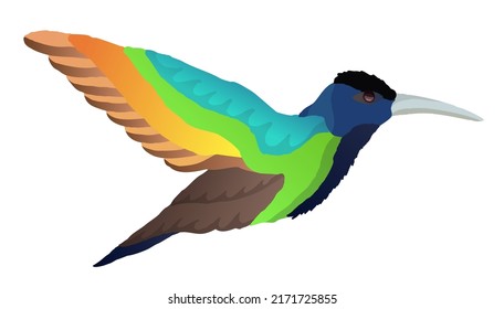Hermosa ilustración vectorial dibujada a mano con pájaro zumbido colorido aislado en el fondo blanco