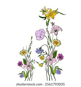 Beautiful hand drawn vector illustration with wildflowers on white background
