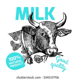 Beautiful hand drawn vector illustration sketch head of cow