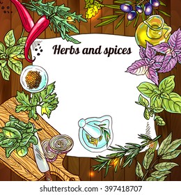 Beautiful hand drawn vector  illustration of culinary herbs