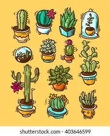 Beautiful hand drawn vector illustration cacti and succulents. Doodle style