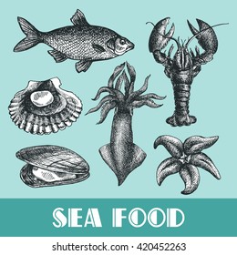 Beautiful hand drawn vector illustration sea food. Sea food engraving  style. Seafood menu.