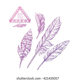 Beautiful hand drawn vector illustration feathers. Sketch feathers.
