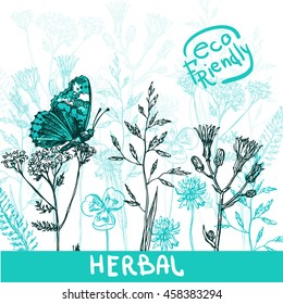 Beautiful hand drawn vector illustration sketching of wildflowers.Eco friendly drawing. Use for postcards, print for t-shirts, packaging of organic cosmetics