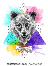 Beautiful hand drawn vector illustration sketching of bear. Tattoo style drawing. Use for postcards, print for t-shirts, posters.