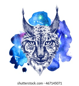 Beautiful hand drawn vector illustration sketching of lynx on space watercolor background. Tattoo style drawing. Use for postcards, print for t-shirts, posters, case for smartphone