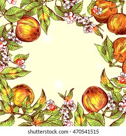 Beautiful hand drawn vector illustration sketching of apples. Boho style floral frame. 