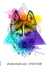 Beautiful hand drawn vector illustration sketching of husky. Boho style drawing. Use for postcards, print for t-shirts, posters, tattoo.