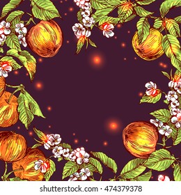 Beautiful hand drawn vector illustration sketching of apples. Boho style floral frame. 