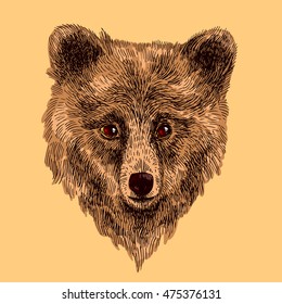 Beautiful hand drawn vector illustration sketching of bear. Sketch style drawing. Use for postcards, print for t-shirts, posters.