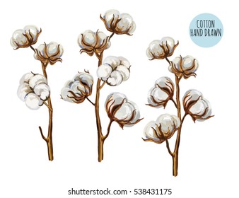 Beautiful hand drawn vector illustration of cotton branch. Hand drawn boho chic style design elements. Perfect for wallpapers, web page backgrounds, surface textures, textile.