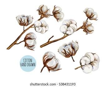 Beautiful hand drawn vector illustration of cotton branch. Hand drawn boho chic style design elements. Perfect for wallpapers, web page backgrounds, surface textures, textile.